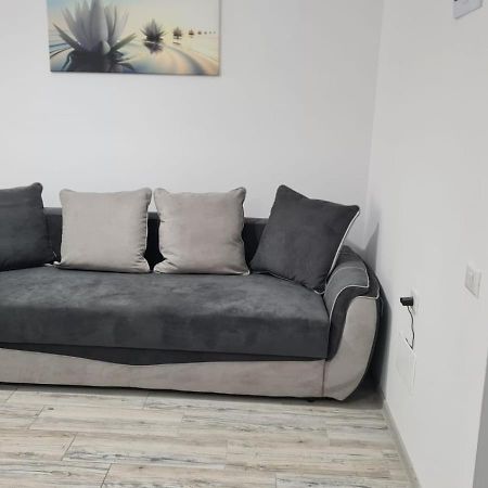Apartament David Рымнику-Вылча Экстерьер фото
