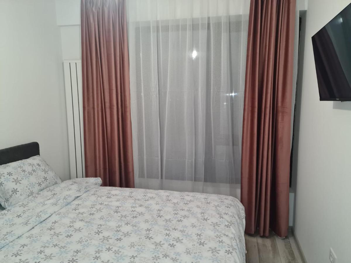 Apartament David Рымнику-Вылча Экстерьер фото