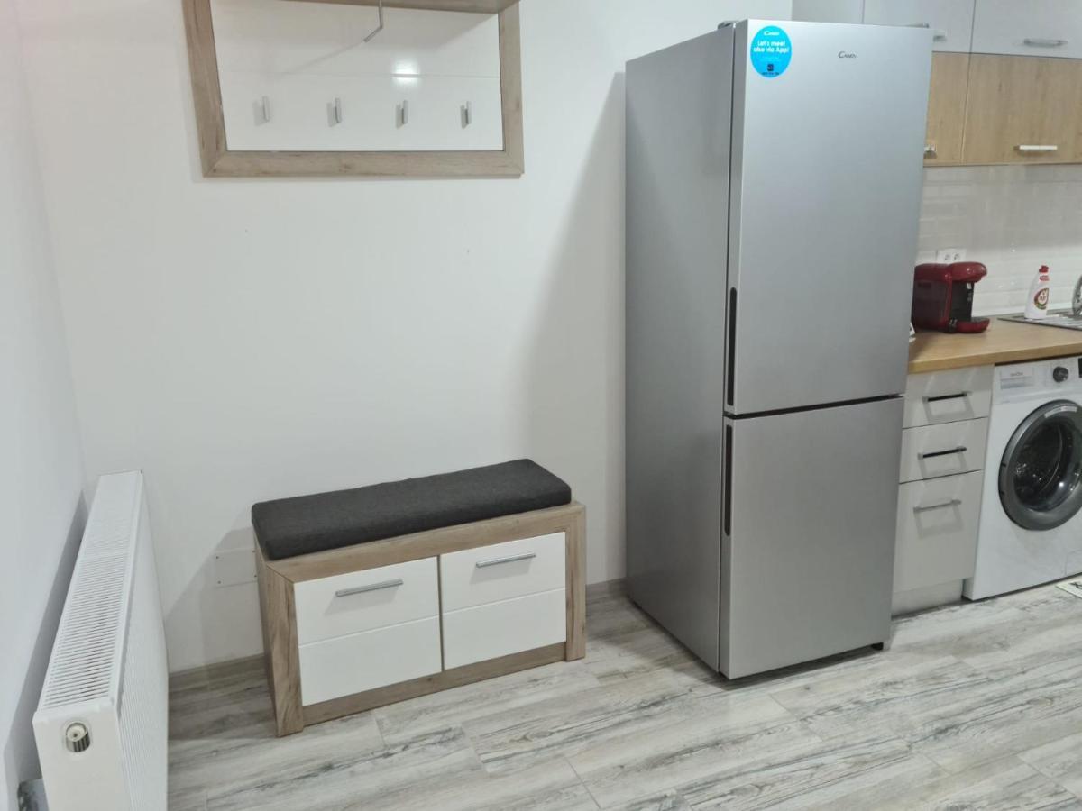 Apartament David Рымнику-Вылча Экстерьер фото