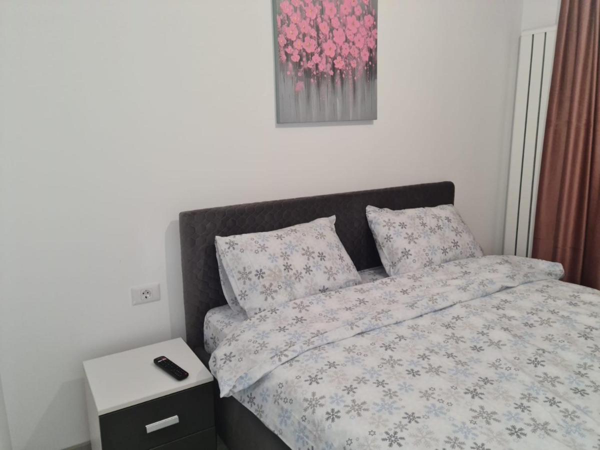Apartament David Рымнику-Вылча Экстерьер фото