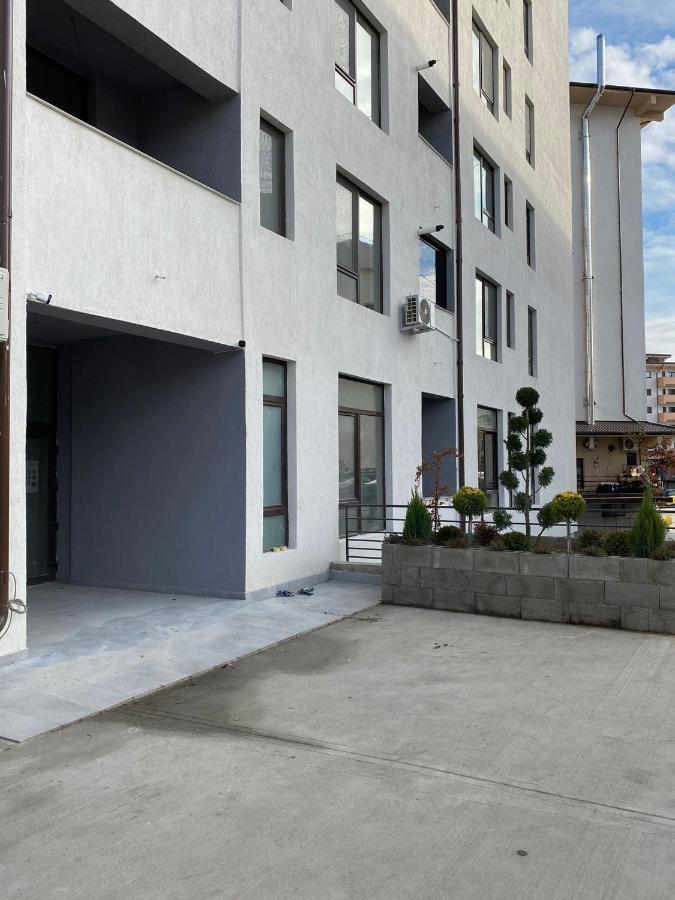 Apartament David Рымнику-Вылча Экстерьер фото