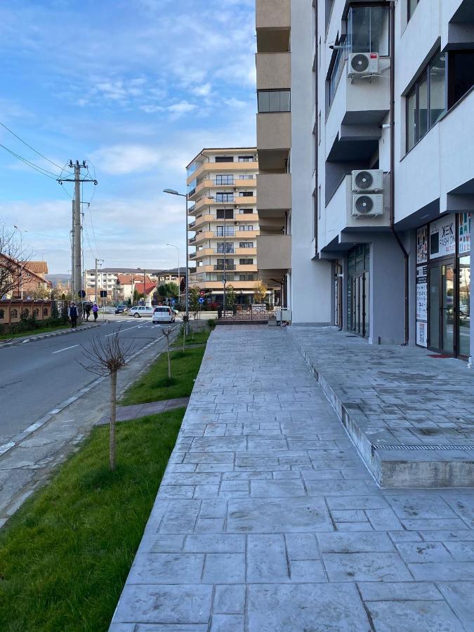 Apartament David Рымнику-Вылча Экстерьер фото