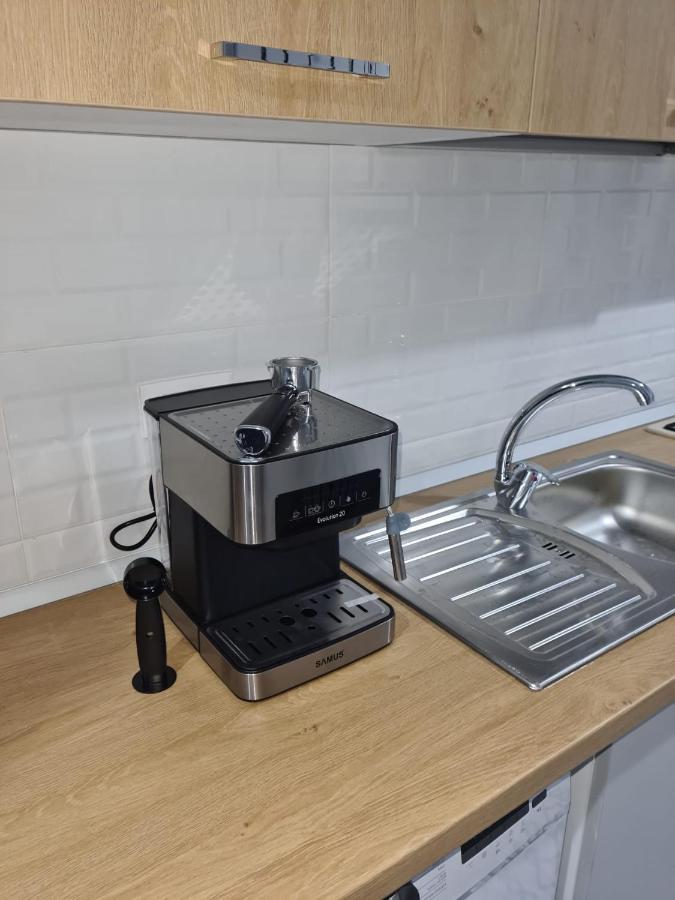 Apartament David Рымнику-Вылча Экстерьер фото