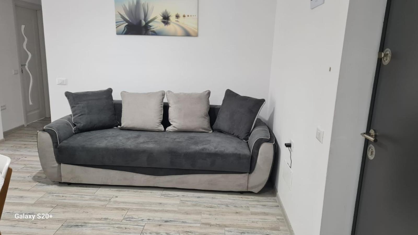 Apartament David Рымнику-Вылча Экстерьер фото