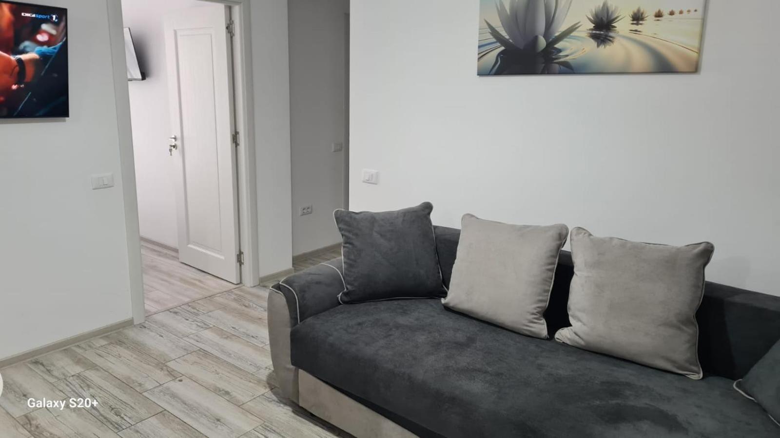 Apartament David Рымнику-Вылча Экстерьер фото